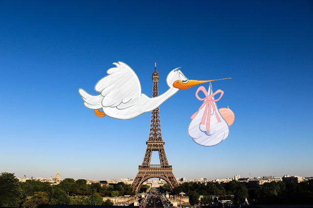 połączenie zdjęcia i rysunku. Na tle panoramy Paryża z Wieżą Eiffla leci bocian trzymając w dziobie worek z dzieckiem
