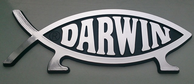 Symboliczny, uproszczony rysunek ryby z wpisanym w niego słowem Darwin oraz dorobionymi nogami